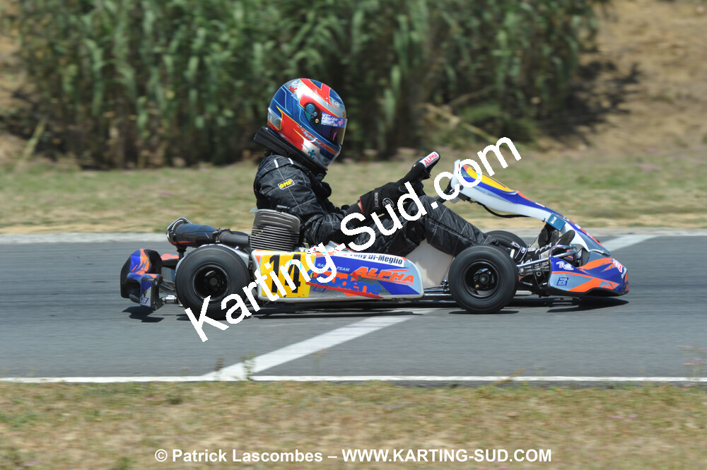 18/07/2010 : Défi France 2010 à Layrac (photos Patrick Lascombes) 2010 — karting