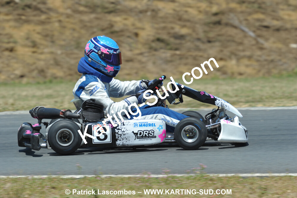 18/07/2010 : Défi France 2010 à Layrac (photos Patrick Lascombes) 2010 — karting