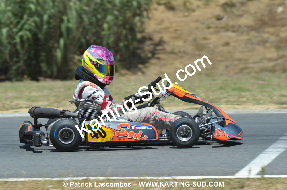18/07/2010 : Défi France 2010 à Layrac (photos Patrick Lascombes) 2010 — karting