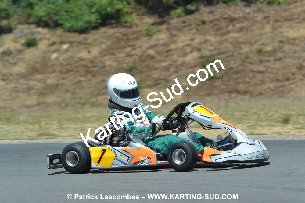 18/07/2010 : Défi France 2010 à Layrac (photos Patrick Lascombes) 2010 — karting