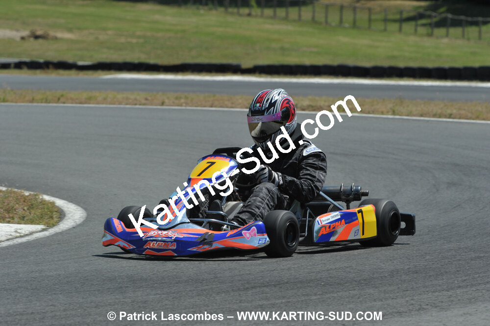 18/07/2010 : Défi France 2010 à Layrac (photos Patrick Lascombes) 2010 — karting