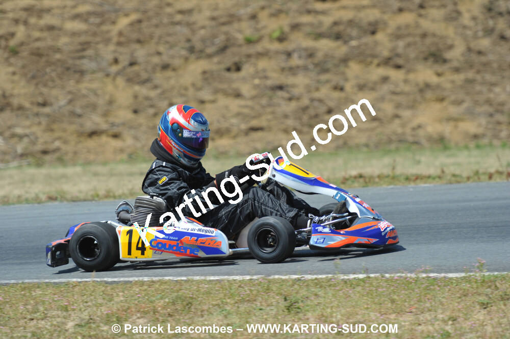 18/07/2010 : Défi France 2010 à Layrac (photos Patrick Lascombes) 2010 — karting