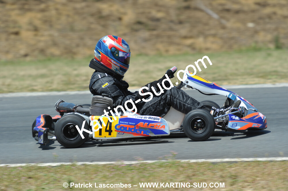18/07/2010 : Défi France 2010 à Layrac (photos Patrick Lascombes) 2010 — karting