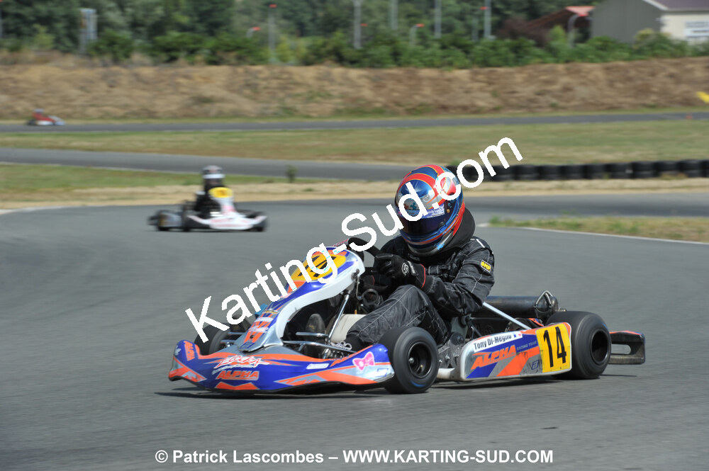 18/07/2010 : Défi France 2010 à Layrac (photos Patrick Lascombes) 2010 — karting