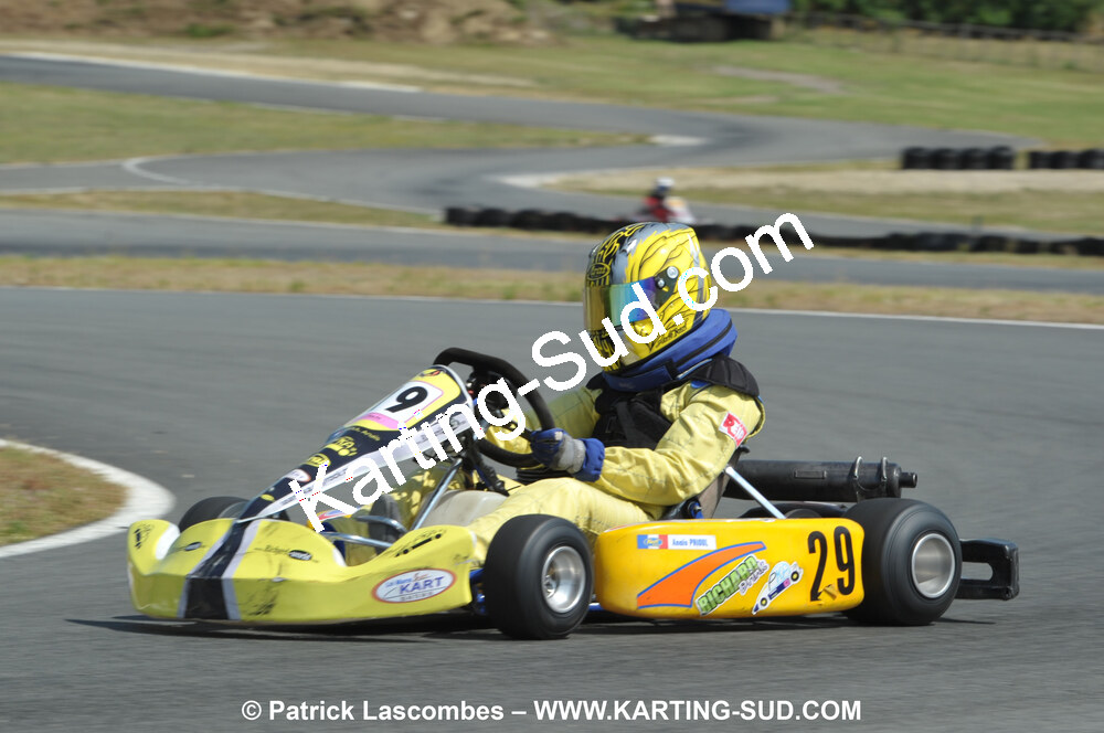 18/07/2010 : Défi France 2010 à Layrac (photos Patrick Lascombes) 2010 — karting