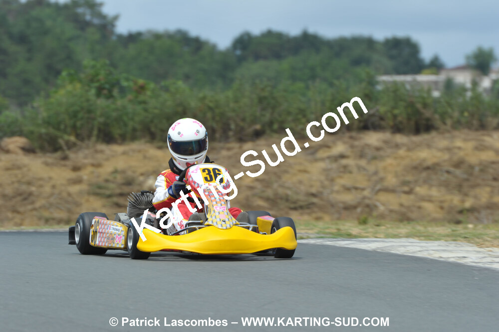18/07/2010 : Défi France 2010 à Layrac (photos Patrick Lascombes) 2010 — karting