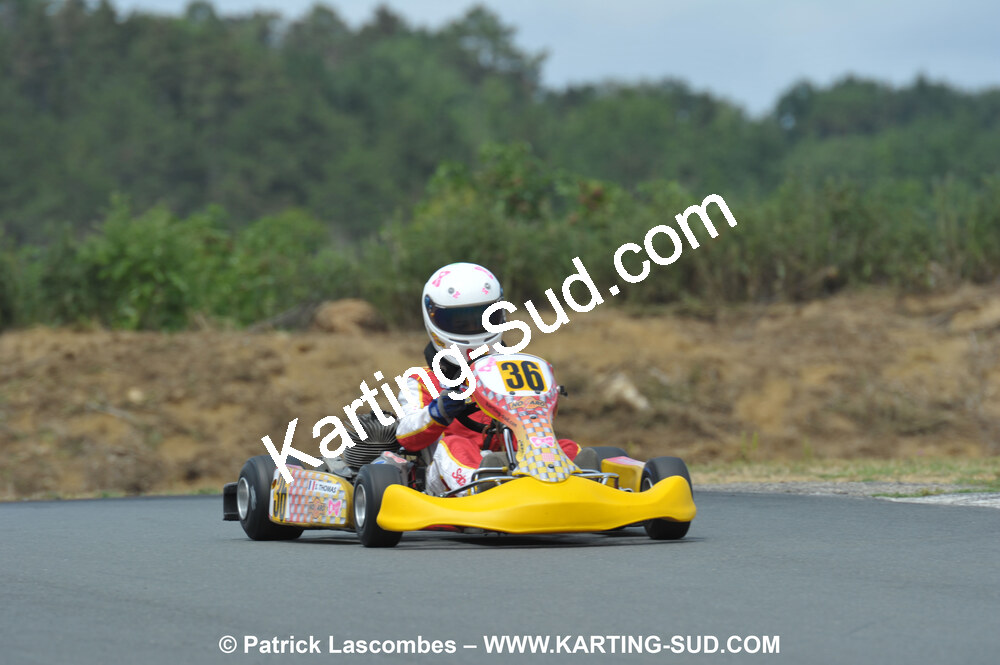 18/07/2010 : Défi France 2010 à Layrac (photos Patrick Lascombes) 2010 — karting