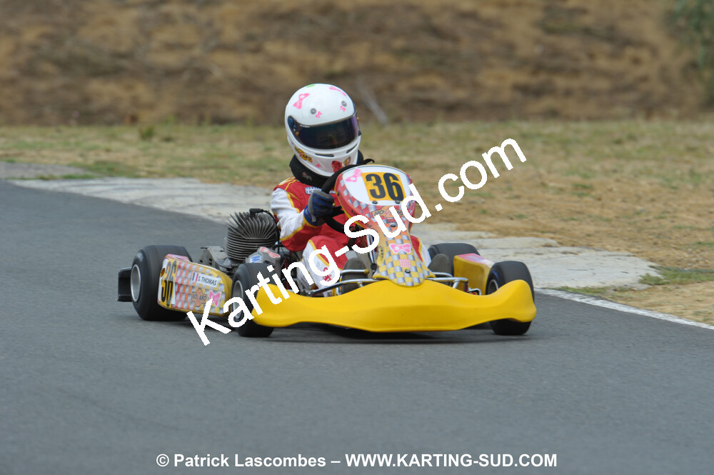 18/07/2010 : Défi France 2010 à Layrac (photos Patrick Lascombes) 2010 — karting