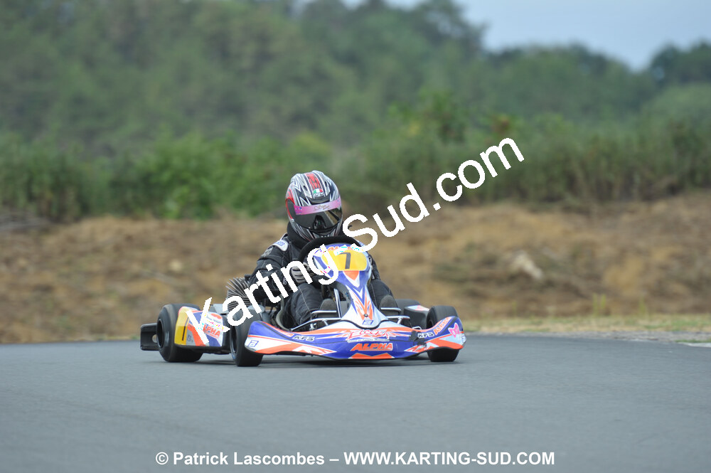 18/07/2010 : Défi France 2010 à Layrac (photos Patrick Lascombes) 2010 — karting