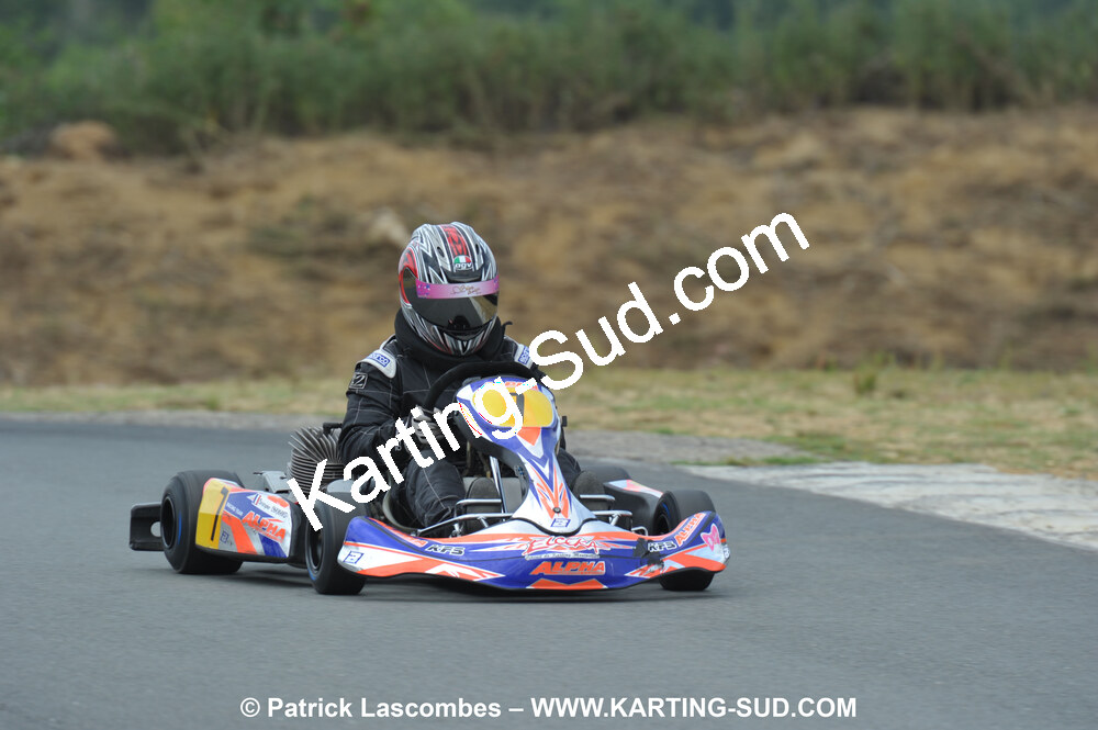 18/07/2010 : Défi France 2010 à Layrac (photos Patrick Lascombes) 2010 — karting