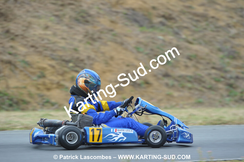 18/07/2010 : Défi France 2010 à Layrac (photos Patrick Lascombes) 2010 — karting