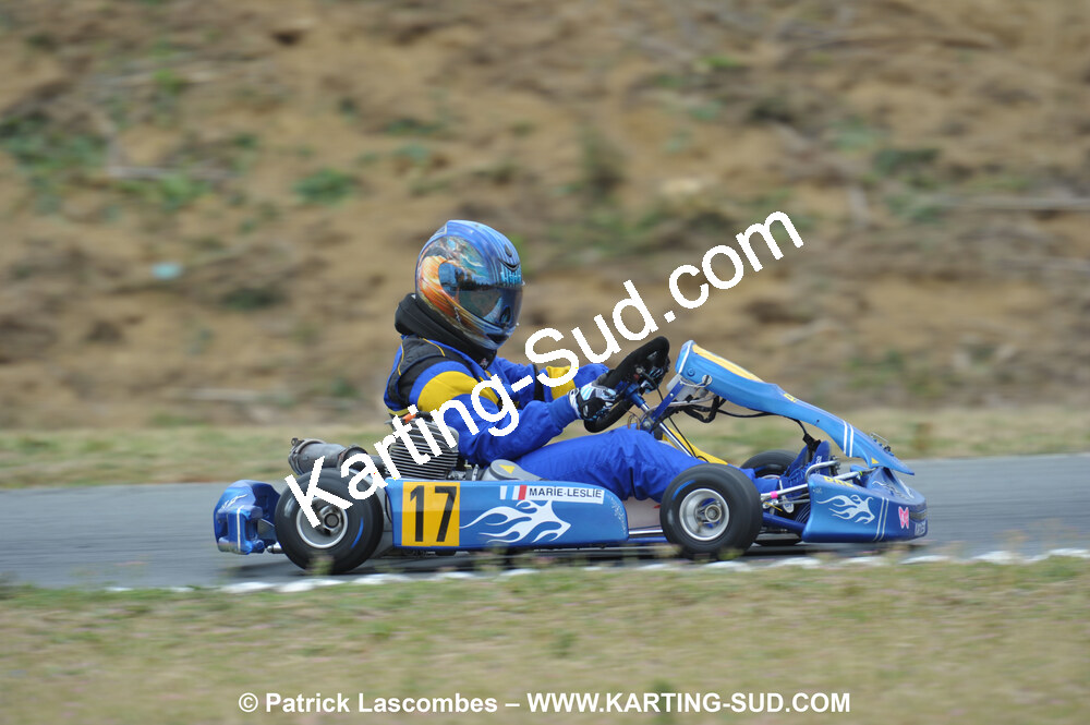 18/07/2010 : Défi France 2010 à Layrac (photos Patrick Lascombes) 2010 — karting
