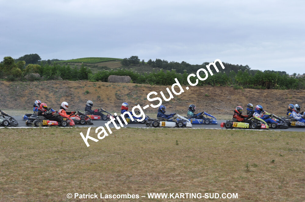 DSC_7974.JPG