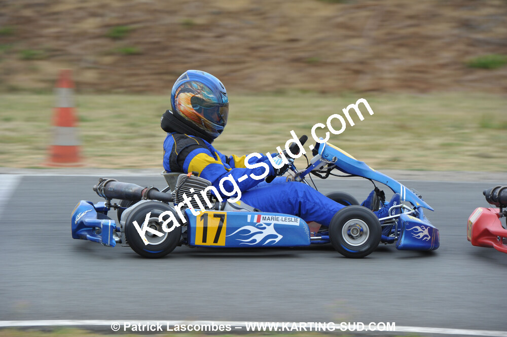 18/07/2010 : Défi France 2010 à Layrac (photos Patrick Lascombes) 2010 — karting