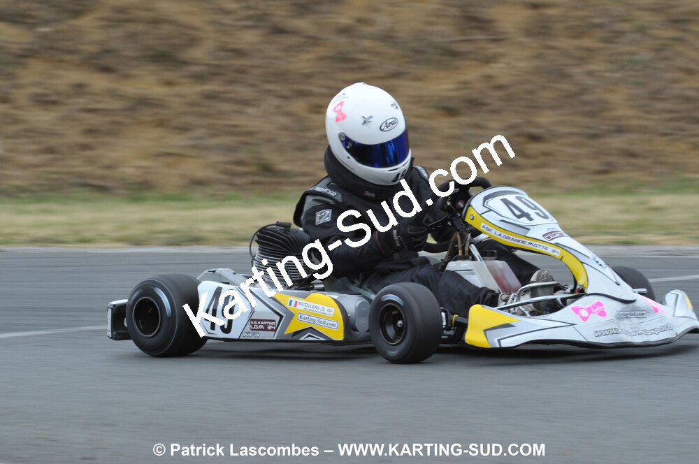 18/07/2010 : Défi France 2010 à Layrac (photos Patrick Lascombes) 2010 — karting
