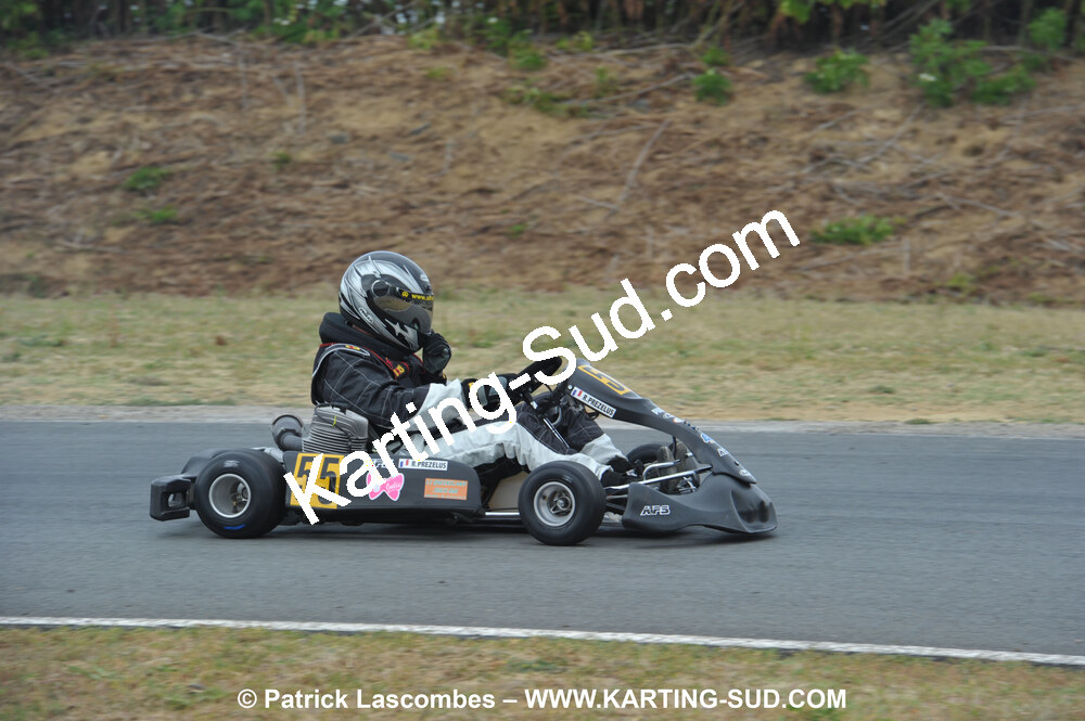 18/07/2010 : Défi France 2010 à Layrac (photos Patrick Lascombes) 2010 — karting