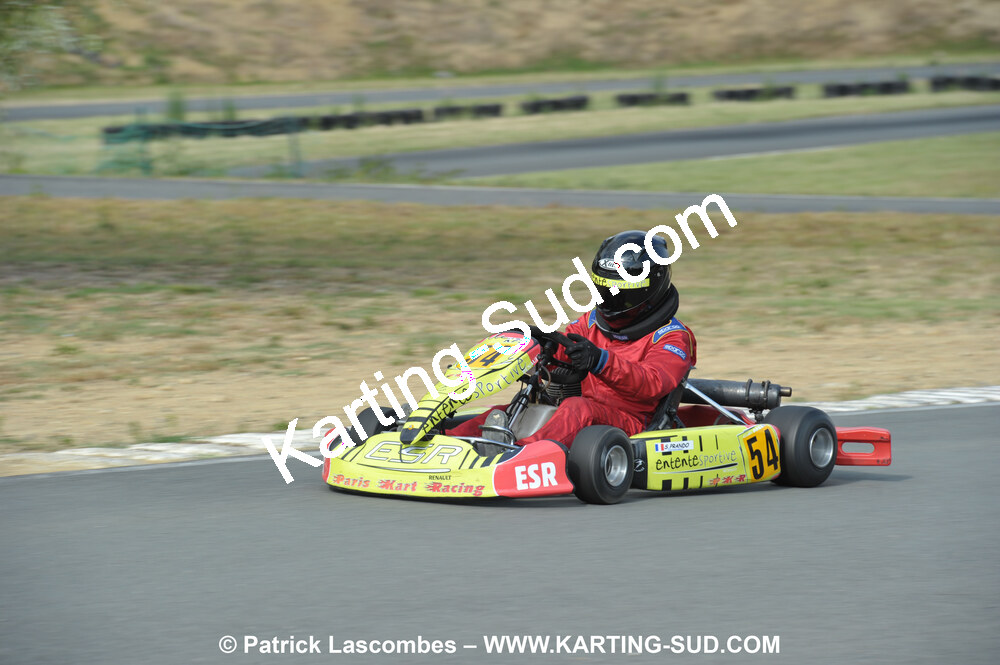 18/07/2010 : Défi France 2010 à Layrac (photos Patrick Lascombes) 2010 — karting