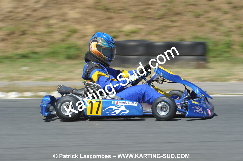 18/07/2010 : Défi France 2010 à Layrac (photos Patrick Lascombes) 2010 — karting