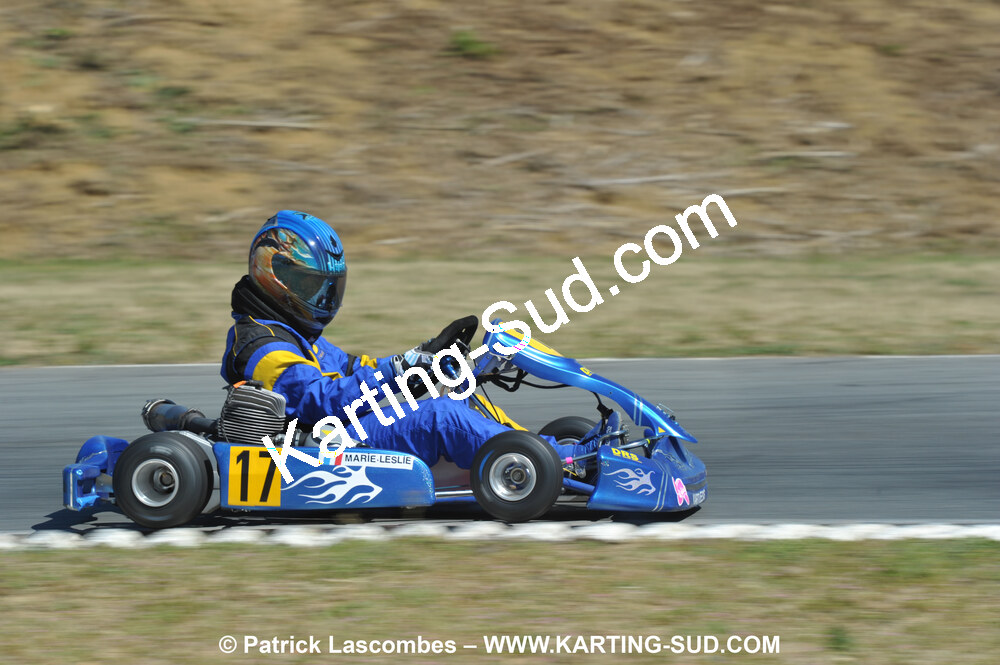 18/07/2010 : Défi France 2010 à Layrac (photos Patrick Lascombes) 2010 — karting