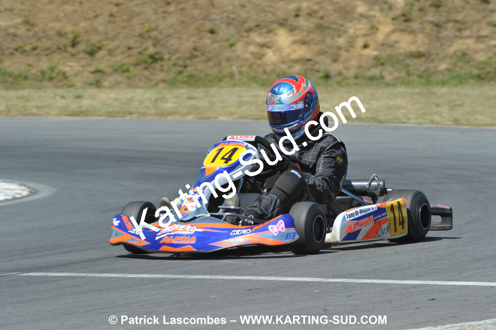 18/07/2010 : Défi France 2010 à Layrac (photos Patrick Lascombes) 2010 — karting