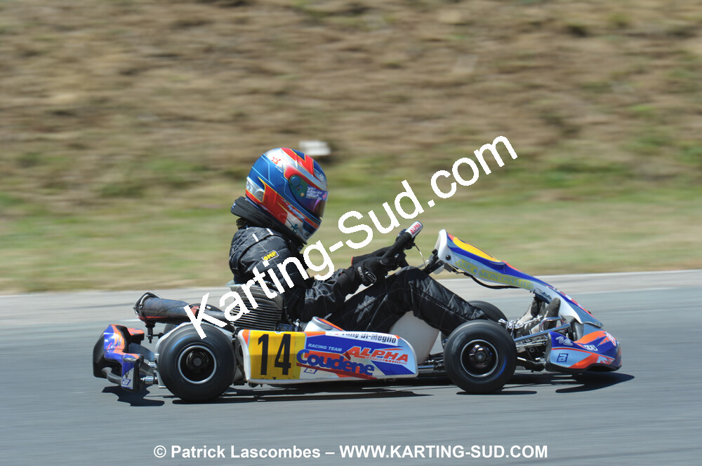 18/07/2010 : Défi France 2010 à Layrac (photos Patrick Lascombes) 2010 — karting