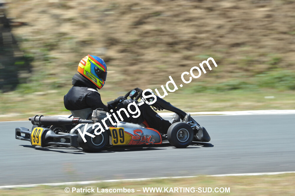 18/07/2010 : Défi France 2010 à Layrac (photos Patrick Lascombes) 2010 — karting
