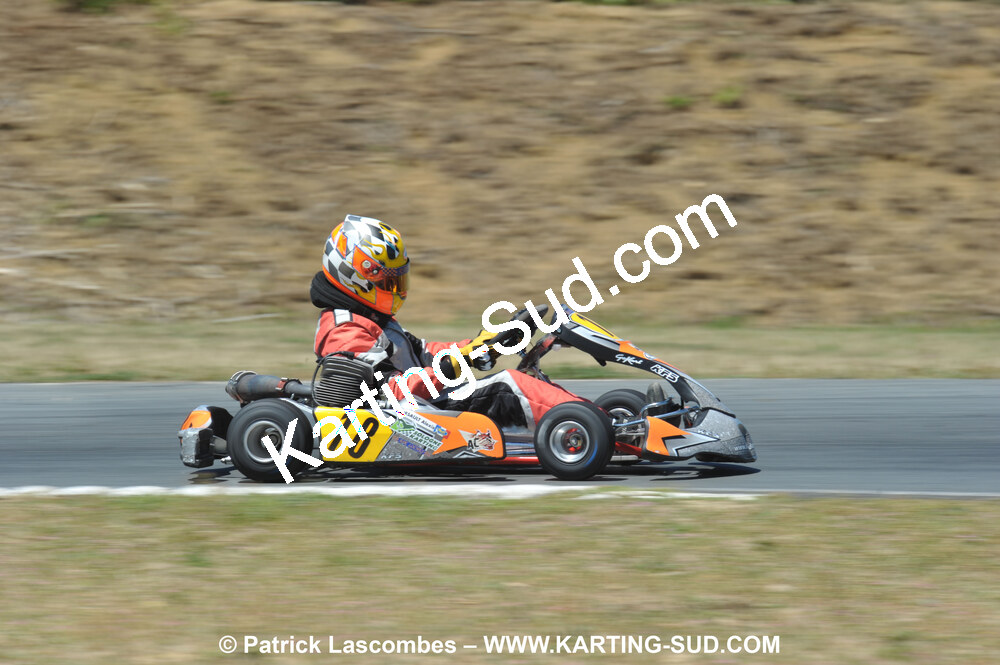 DSC_9131.JPG