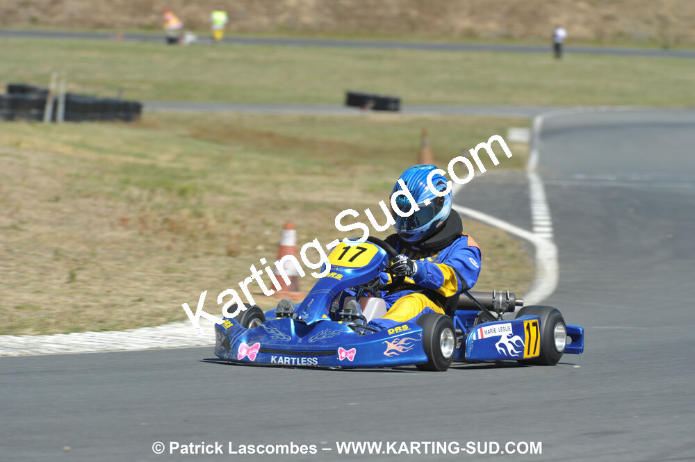18/07/2010 : Défi France 2010 à Layrac (photos Patrick Lascombes) 2010 — karting