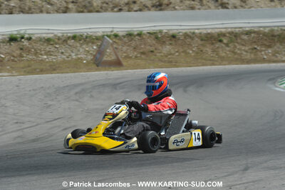 31/07 et 01/08/2010 : GPO Karting et Coupe de France X30 et X30 Gentlemen à Lyon (Photos Patrick Lascombes) 2010 — karting