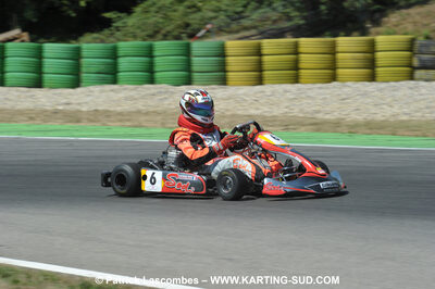 31/07 et 01/08/2010 : GPO Karting et Coupe de France X30 et X30 Gentlemen à Lyon (Photos Patrick Lascombes) 2010 — karting