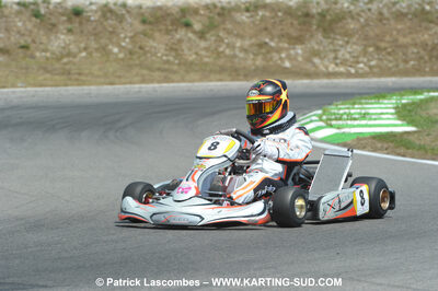 31/07 et 01/08/2010 : GPO Karting et Coupe de France X30 et X30 Gentlemen à Lyon (Photos Patrick Lascombes) 2010 — karting