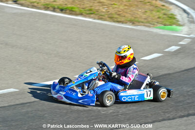 31/07 et 01/08/2010 : GPO Karting et Coupe de France X30 et X30 Gentlemen à Lyon (Photos Patrick Lascombes) 2010 — karting