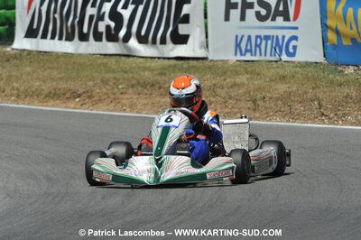 31/07 et 01/08/2010 : GPO Karting et Coupe de France X30 et X30 Gentlemen à Lyon (Photos Patrick Lascombes) 2010 — karting