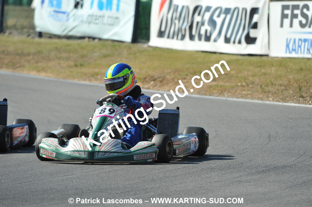 31/07 et 01/08/2010 : GPO Karting et Coupe de France X30 et X30 Gentlemen à Lyon (Photos Patrick Lascombes) 2010 — karting
