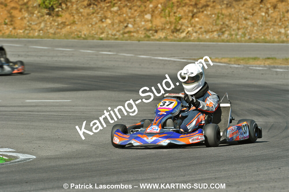 DSC_ (1222).JPG
