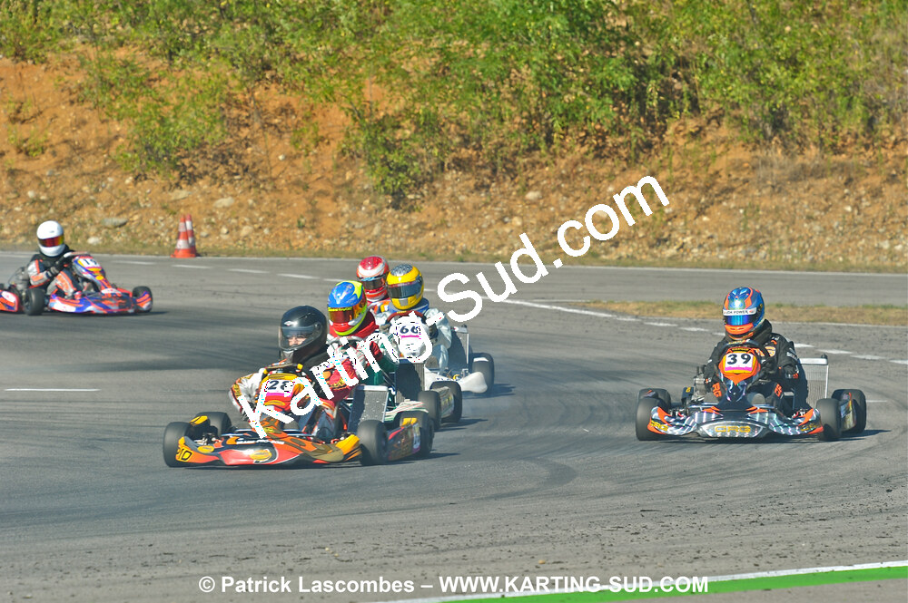 DSC_ (1247).JPG