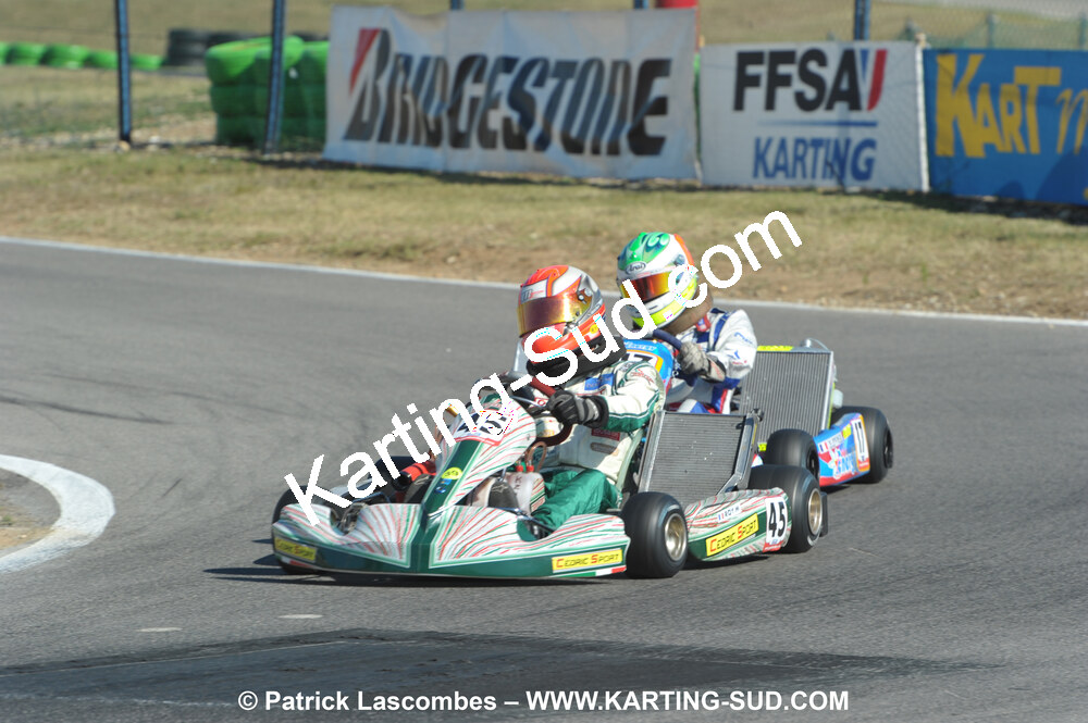 DSC_ (1533).JPG