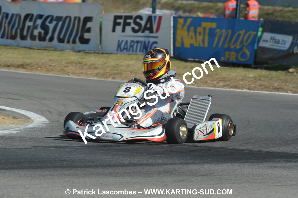 DSC_ (1554).JPG