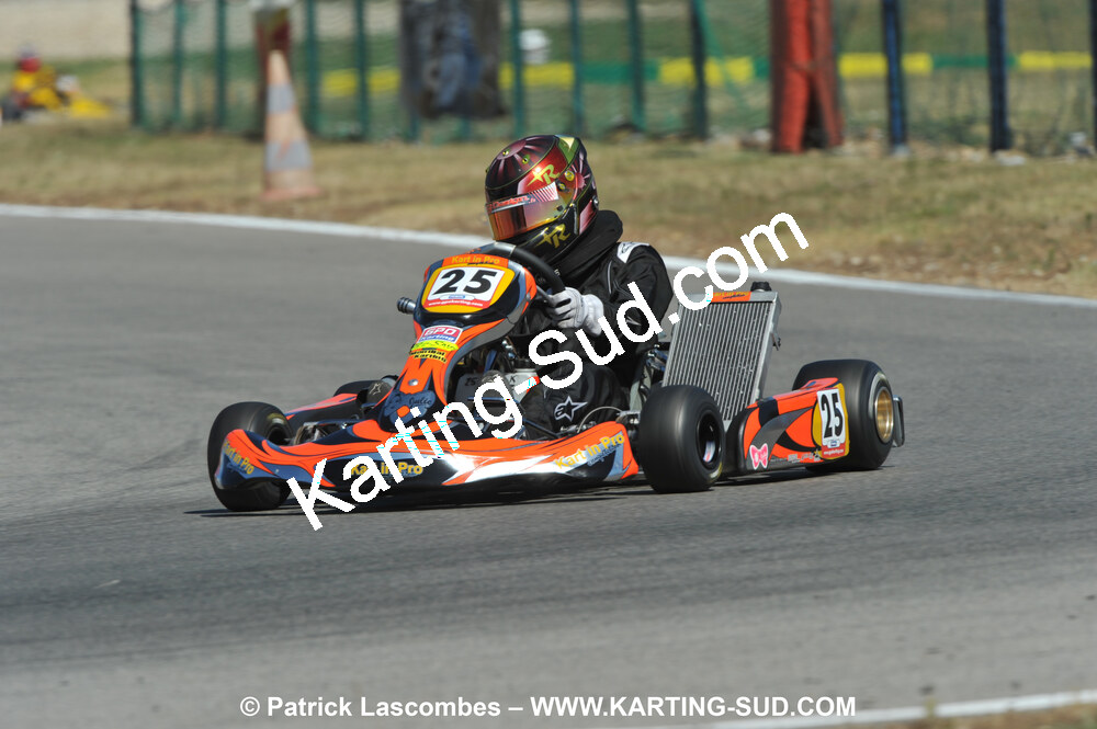 31/07 et 01/08/2010 : GPO Karting et Coupe de France X30 et X30 Gentlemen à Lyon (Photos Patrick Lascombes) 2010 — karting