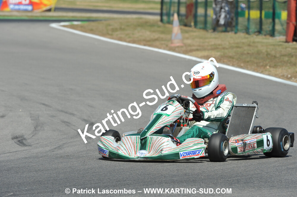 31/07 et 01/08/2010 : GPO Karting et Coupe de France X30 et X30 Gentlemen à Lyon (Photos Patrick Lascombes) 2010 — karting