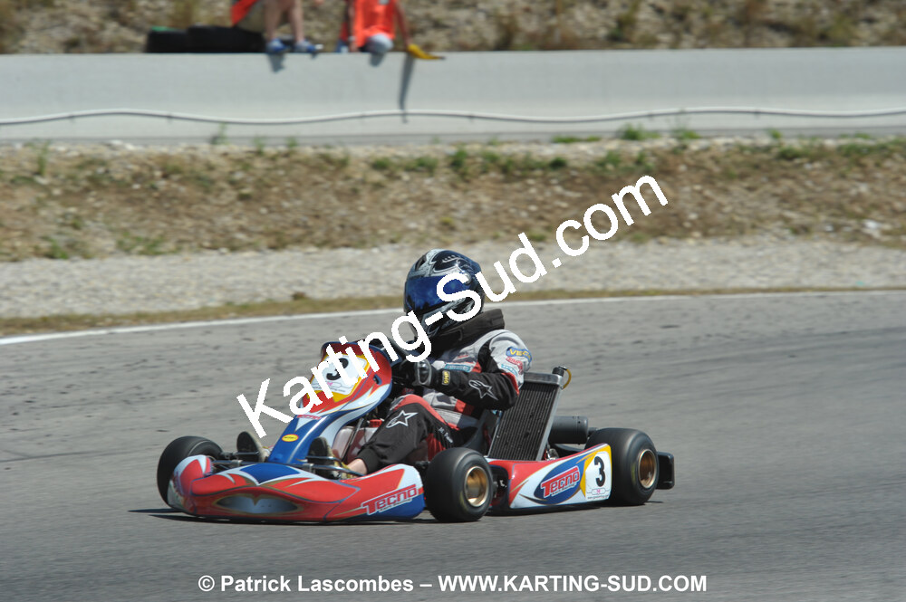 DSC_ (1850).JPG