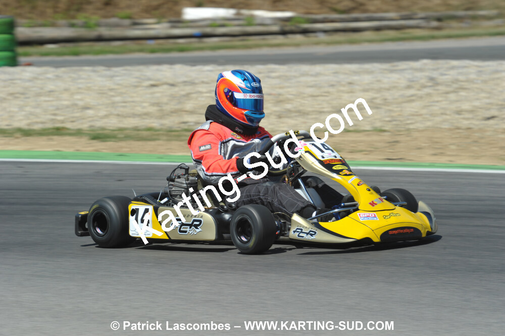 DSC_ (1853).JPG