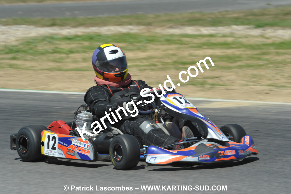 31/07 et 01/08/2010 : GPO Karting et Coupe de France X30 et X30 Gentlemen à Lyon (Photos Patrick Lascombes) 2010 — karting