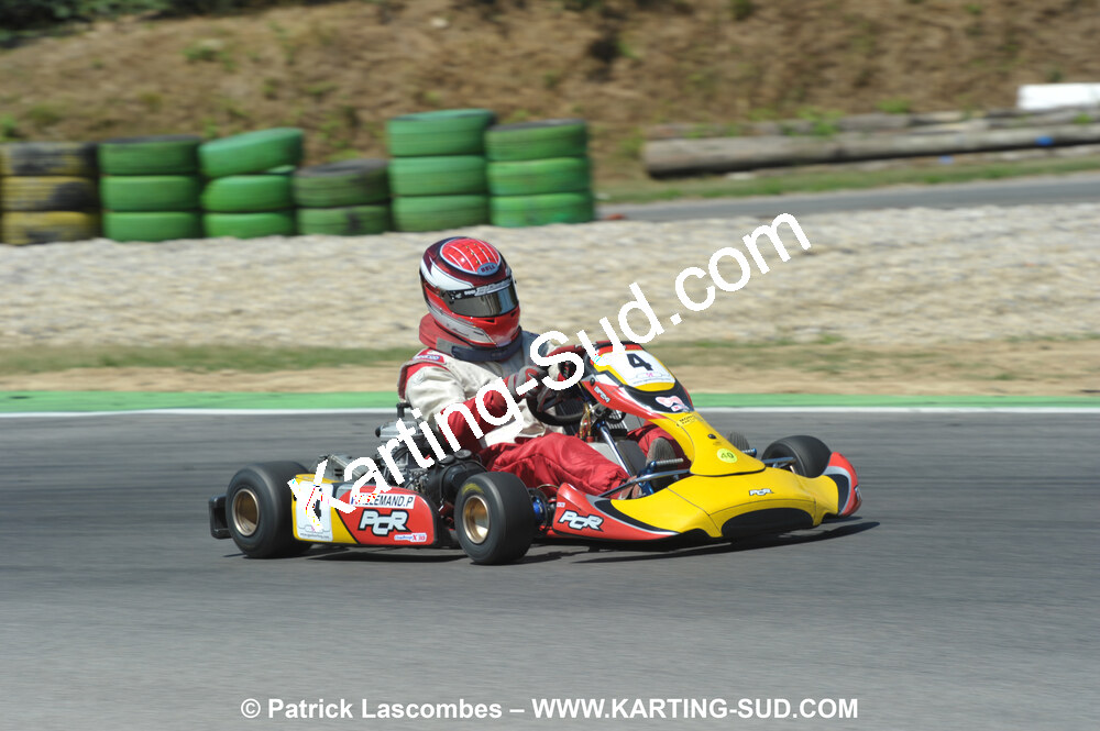 DSC_ (1891).JPG