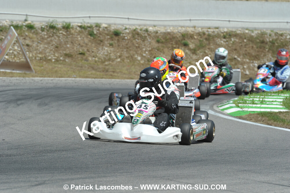 31/07 et 01/08/2010 : GPO Karting et Coupe de France X30 et X30 Gentlemen à Lyon (Photos Patrick Lascombes) 2010 — karting