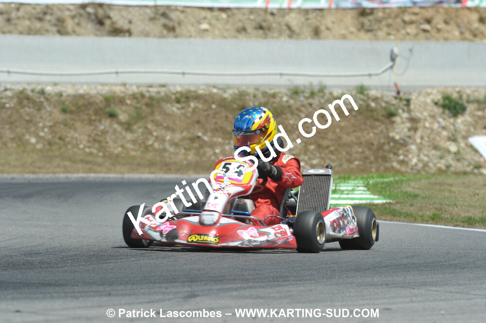 31/07 et 01/08/2010 : GPO Karting et Coupe de France X30 et X30 Gentlemen à Lyon (Photos Patrick Lascombes) 2010 — karting