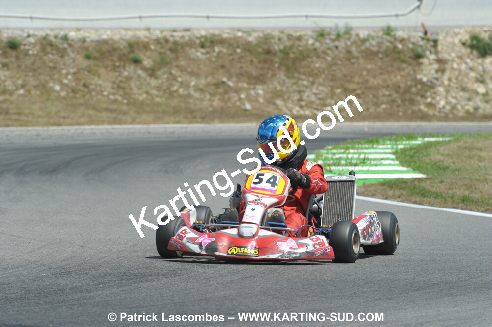 31/07 et 01/08/2010 : GPO Karting et Coupe de France X30 et X30 Gentlemen à Lyon (Photos Patrick Lascombes) 2010 — karting