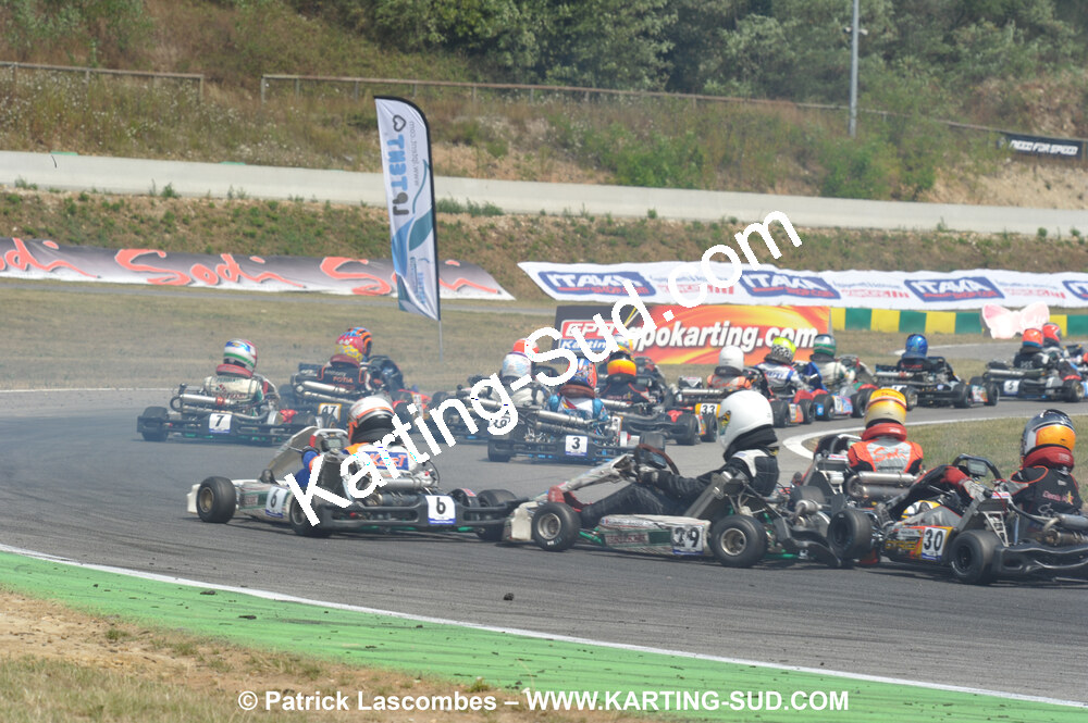 DSC_ (2084).JPG