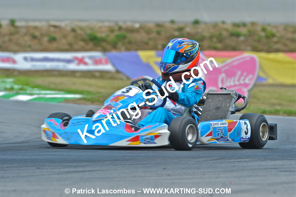 31/07 et 01/08/2010 : GPO Karting et Coupe de France X30 et X30 Gentlemen à Lyon (Photos Patrick Lascombes) 2010 — karting