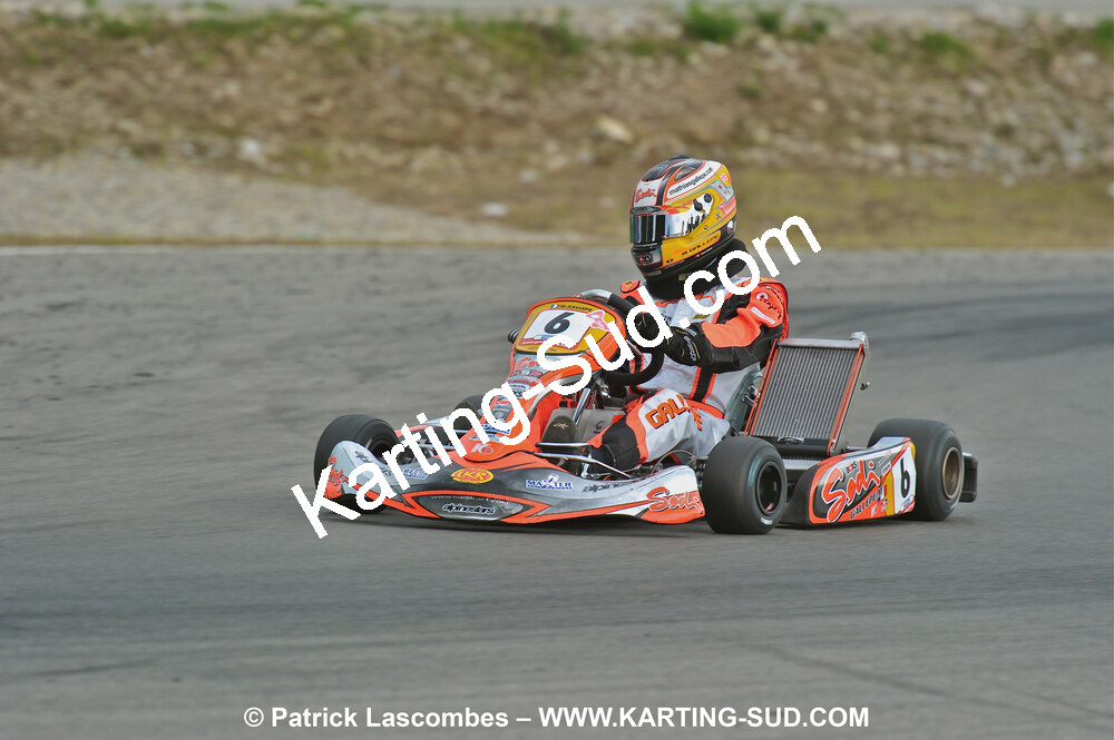 31/07 et 01/08/2010 : GPO Karting et Coupe de France X30 et X30 Gentlemen à Lyon (Photos Patrick Lascombes) 2010 — karting